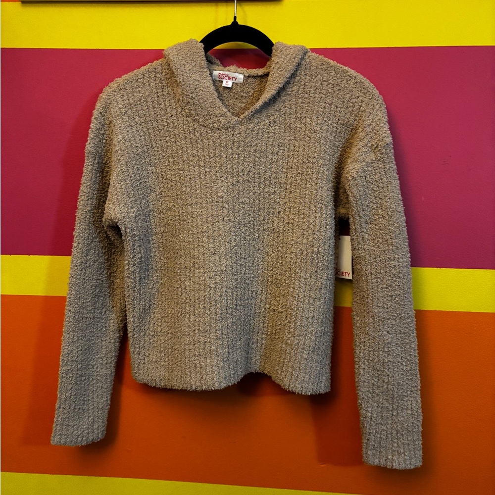 Cozy Tan Hooded Sweater